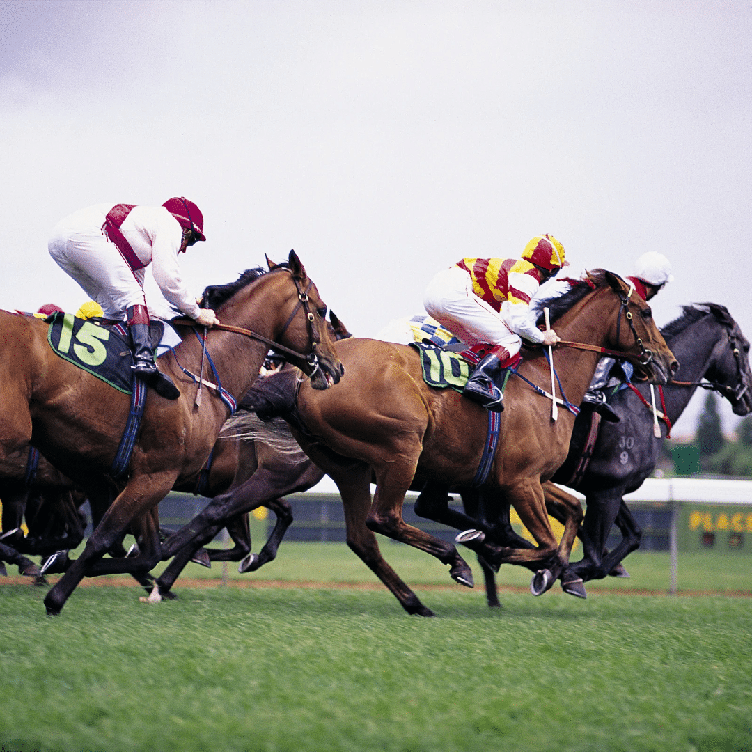 jockey's riding horses in a race