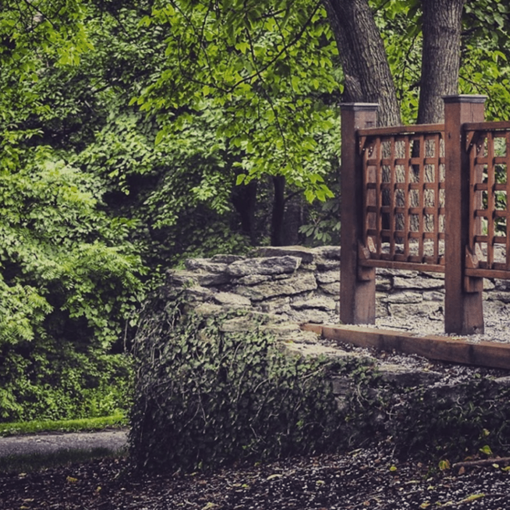 fence and trees